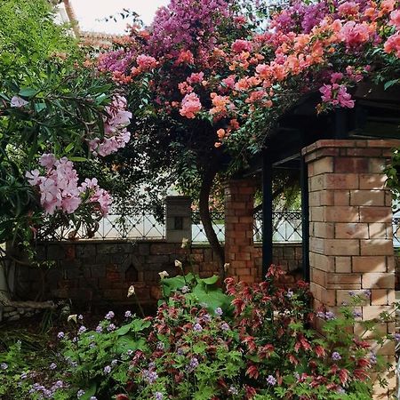 Appartamento Veneto'S Garden Kardhamili Esterno foto