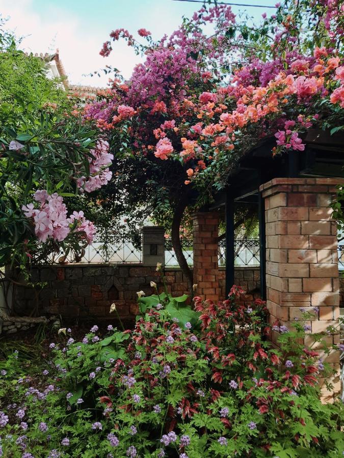 Appartamento Veneto'S Garden Kardhamili Esterno foto